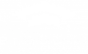 Logo Brain:it academy