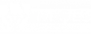 Logo NFQES